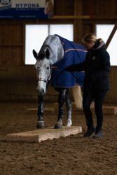Indoor Trail-Kurs 2020