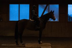 Indoor Trail-Kurs 2020