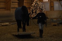 Indoor Trail-Kurs 2020