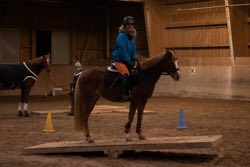 Indoor Trail-Kurs 2020