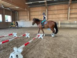 Reitlager 19. - 23.07.2021