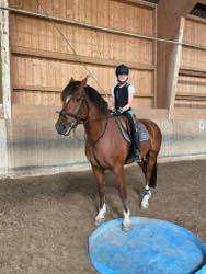 Reitlager 19. - 23.07.2021
