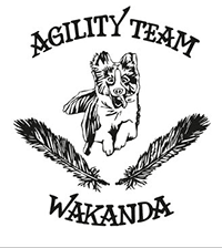 Agility Team Wakanda
