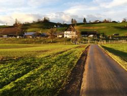 Die Ruhe vor dem Sturm