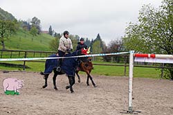 anklicken für grosses Bild